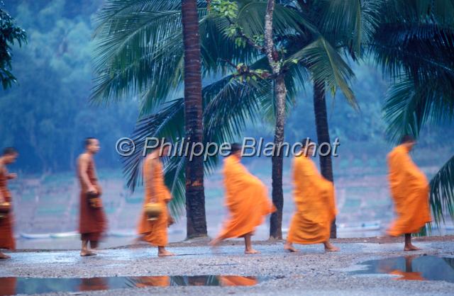 laos 01.JPG - Moines faisant l'aumôneLuang PrabangLaos